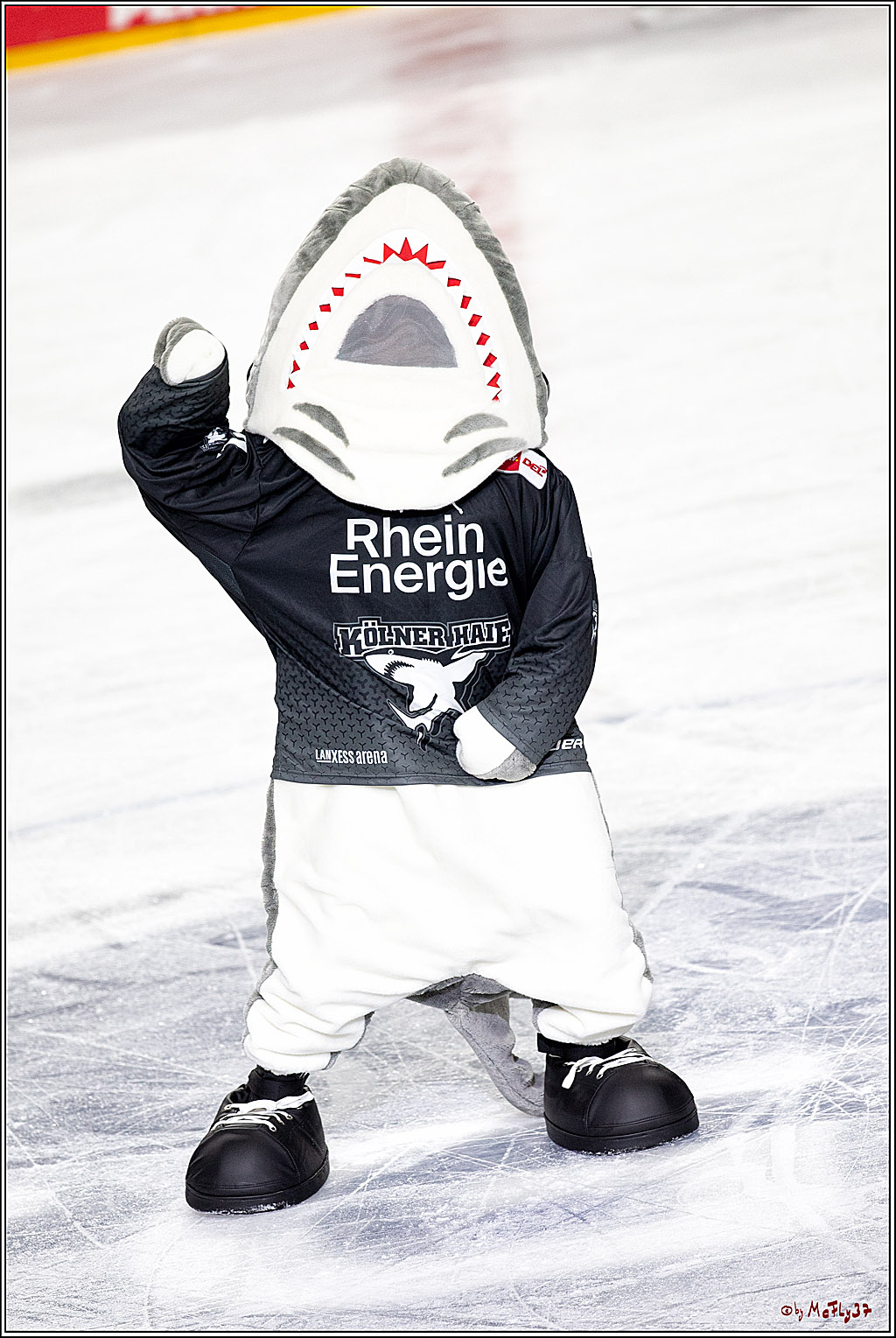 PENNY DEL;  Koelner Haie - Wolfsburg Grizzlys; Koeln, 17.03.2021